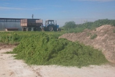 Директор птицефабрики Кореличского района уволен после выявления КГК фактов закупки кормов через посредников