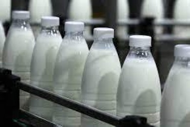 После вмешательства Комитета госконтроля погашена задолженность перед гражданами за сданное молоко на перерабатывающие предприятия