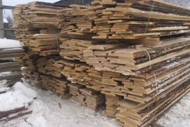 Финансовой милицией пресечены факты незаконного распила древесины в Гомельской области