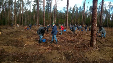 В рамках субботника работники Комитета госконтроля осуществили посадку леса и благоустройство территорий