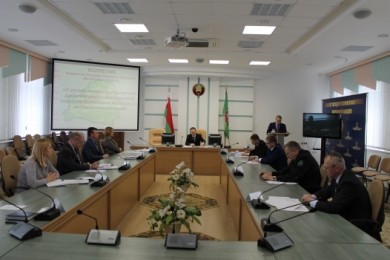 Результаты контроля за работой по лесовосстановлению рассмотрены на коллегии Комитета госконтроля Витебской области