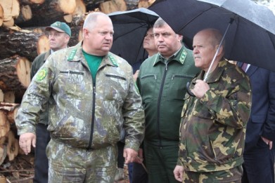 Леонид Анфимов проинспектировал ход уборки пострадавших во время июльских ураганов лесов