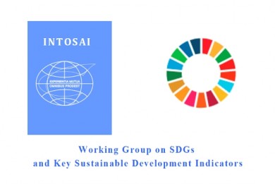 Representatives of the State Control Committee took part in the meeting of the INTOSAI Working Group on Sustainable Development Goals