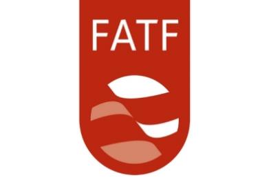 Representative of the Financial Intelligence Unit of Belarus took part in the Plenary meeting of the Financial Action Task Force (FATF )