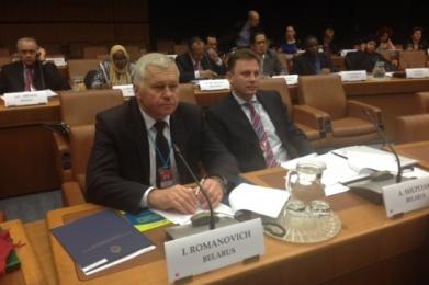 First Deputy Chairman of the State Control Committee Ivan Romanovich took part in the UN/INTOSAI Symposium