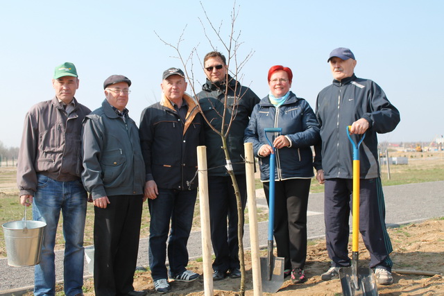 Сотрудники Комитета госконтроля Брестской области приняли участие в закладке памятной аллеи деревьев