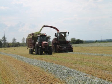 Комитетом государственного контроля Брестской области изучены вопросы подготовки сельхозтехники к началу кормоуборочной кампании и соблюдения технологических требований при заготовке травяных кормов.
