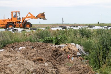 Комитет государственного контроля Брестской области проверил организацию работ по уборке трав и заготовке кормов в Каменецком районе
