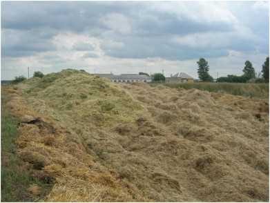 Контроль за ходом заготовки травяных кормов и готовности сельхозорганизаций к уборке урожая продолжается