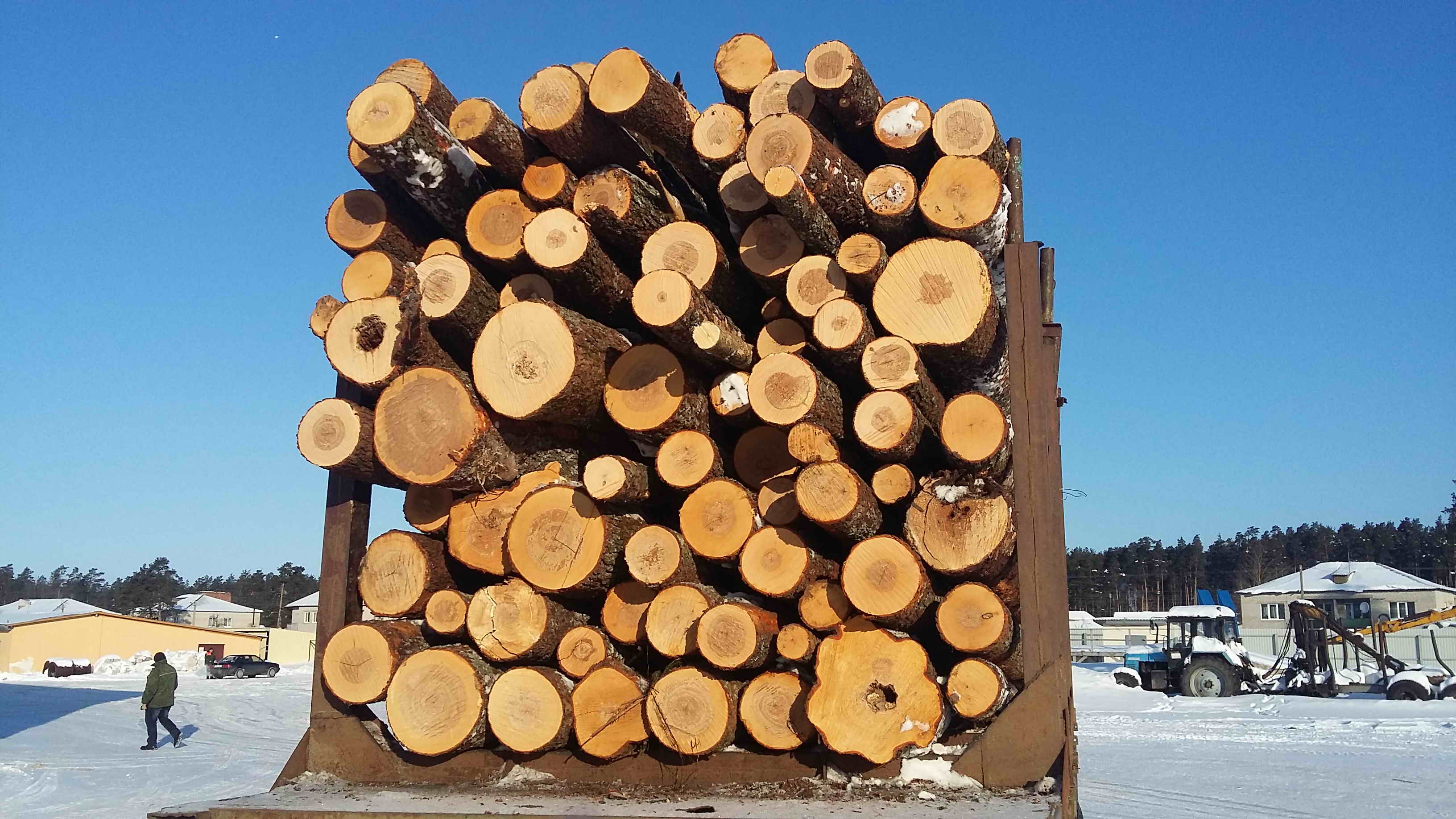 Возбуждены уголовные дела по фактам незаконного оборота древесины, выявленным Комитетом госконтроля Могилевской области в Кличевском лесхозе.