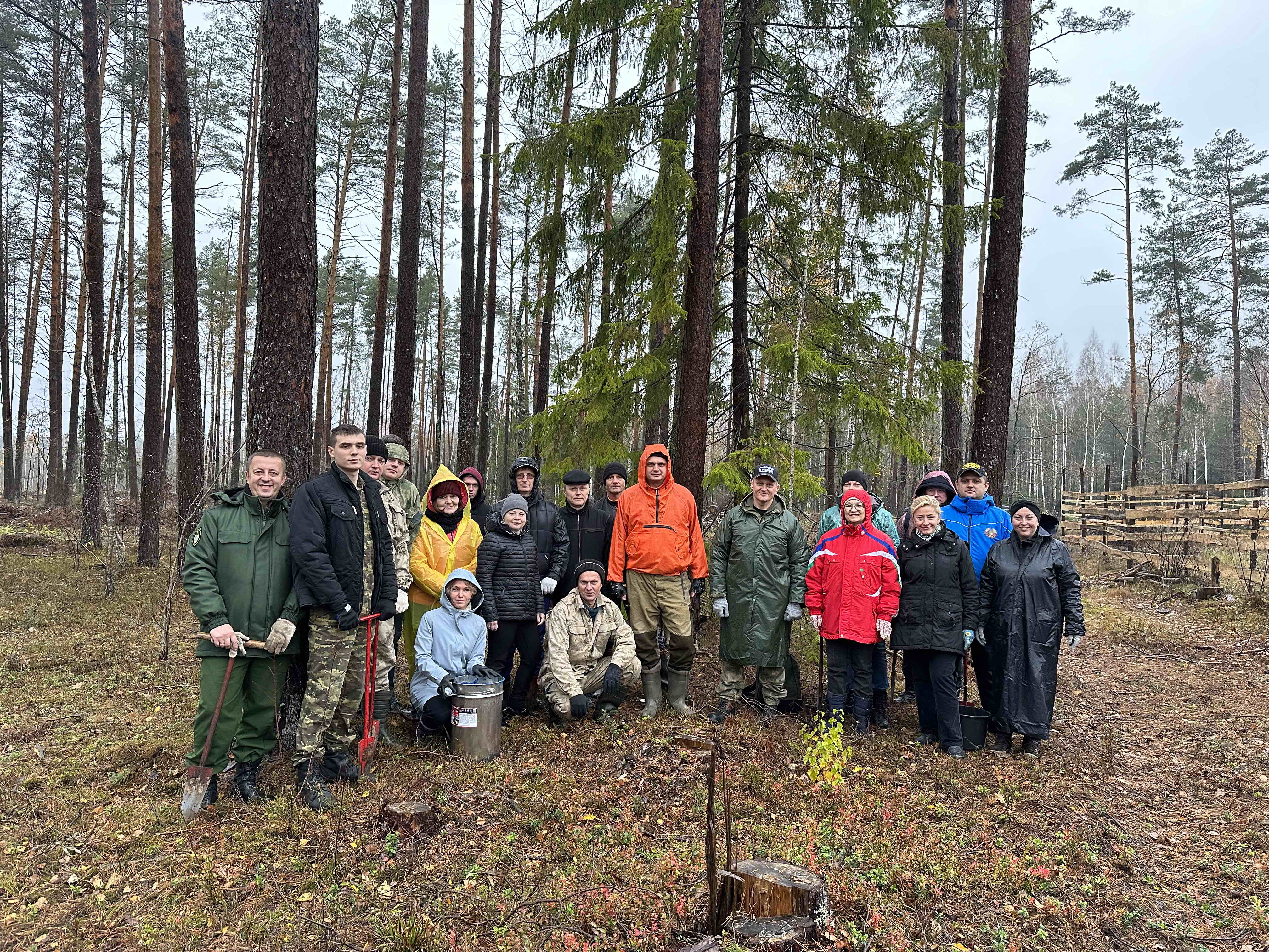 Работники Комитета государственного контроля Могилевской области и управления Департамента финансовых расследований по Могилевской области приняли участие в добровольной акции по посадке леса.