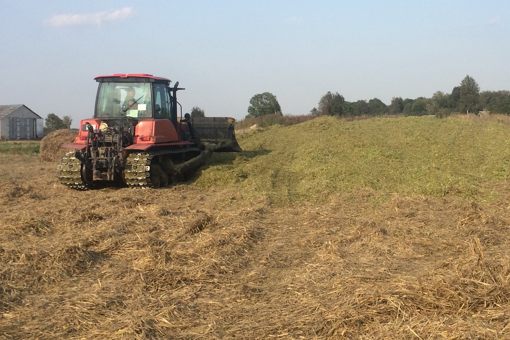 Комитетом госконтроля Могилевской области продолжается контроль за ходом заготовки травяных кормов