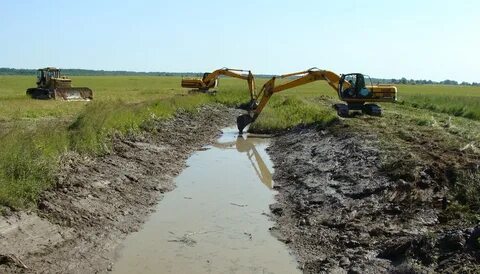 Комитет госконтроля Могилевской области внес предложения, направленные на выполнение поручений Главы государства по надлежащему сохранению и использованию мелиорированных земель.