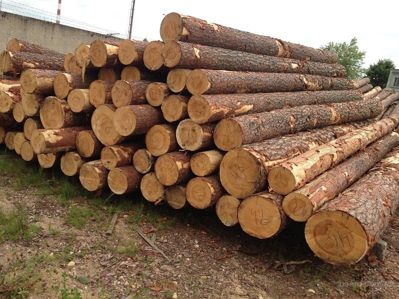 КГК Гомельской области выявил на деревообрабатывающих предприятиях факты необоснованного посредничества при закупке товаров и реализации продукции