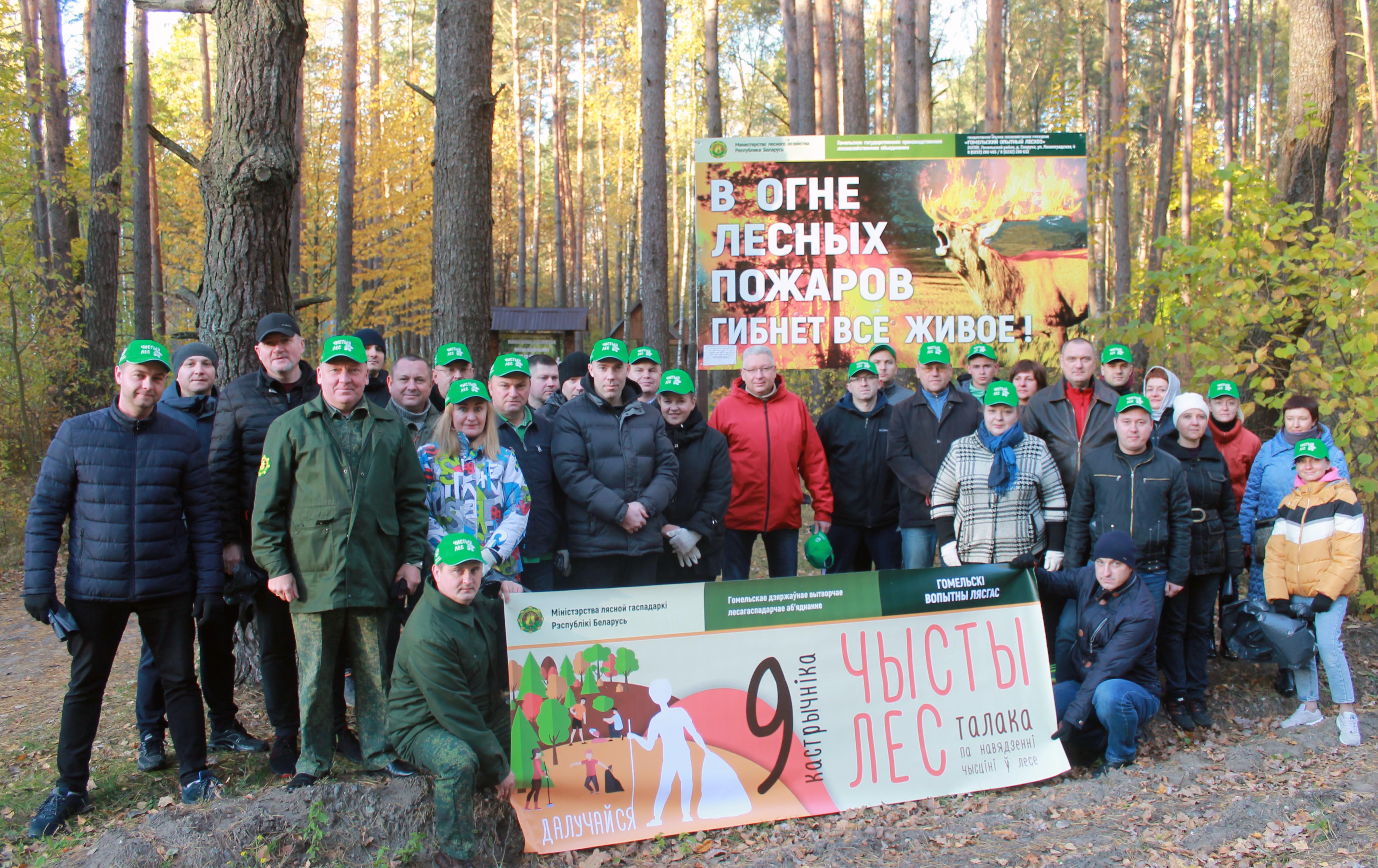 Комитет государственного контроля Гомельской области и финансовая милиция присоединились к республиканской акции «Чистый лес»