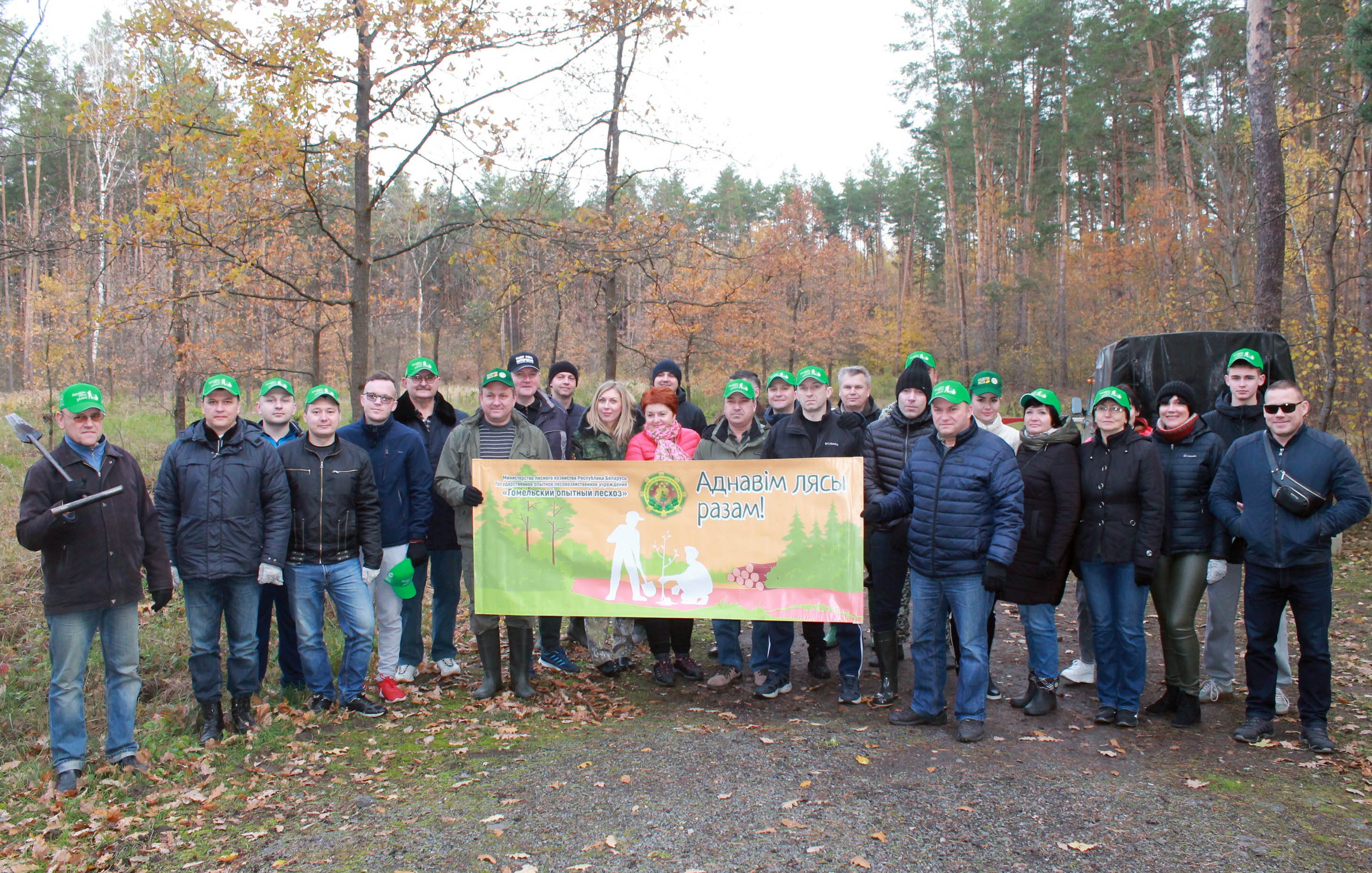 Работники КГК и финансовой милиции Гомельской области высадили саженцы сосны в Романовичском лесничестве