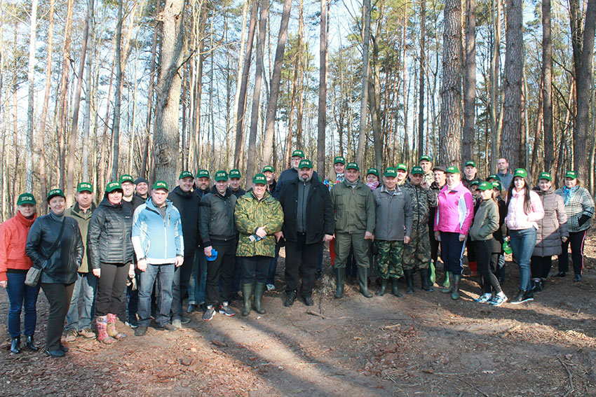 Сотрудники Комитета государственного контроля Гомельской области приняли участие в акции «Неделя леса»