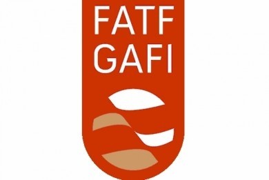 Прадстаўнікі Камітэта дзяржкантролю і Нацыянальнага банка прынялі ўдзел у пленарным тыдні ФАТФ у Парыжы