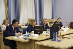 Belarusian-Russian seminar on the exchange of experience in the field of control and supervision was held via video conference