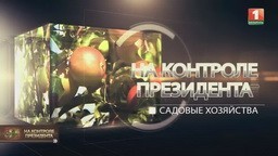 Садовые хозяйства (телеканал «Беларусь-1», программа «На контроле Президента»)