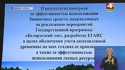 
 КГК об итогах реализации программы «Белорусский лес» (телеканал «Беларусь-4», программа «Новости региона»).
 