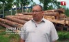КГК о краже леса и перепродаже древесины (Фильм АТН)