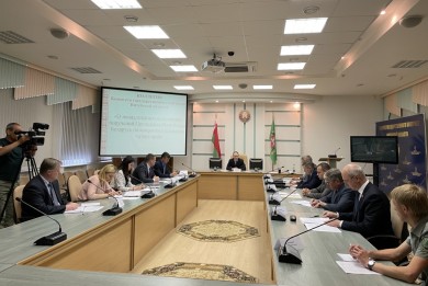 Эффективность работы по озеленению территорий рассмотрена на заседании коллегии Комитета госконтроля Витебской области