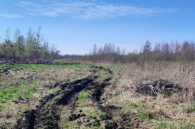 КГК Брестской области выявлены нарушения при использовании ранее мелиорированных земель
